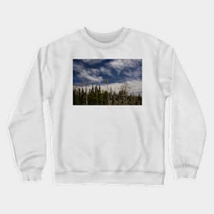 WGC_3952 Crewneck Sweatshirt